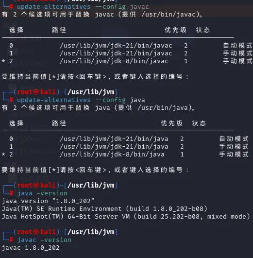 image-20250618120341732